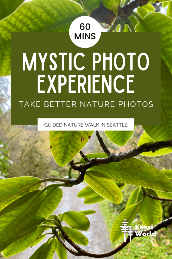 A product tile promoting mystic photo experience in Washington Park Arboretum in Seattle. The photo in the background is the green leaves of a rhododendron.
