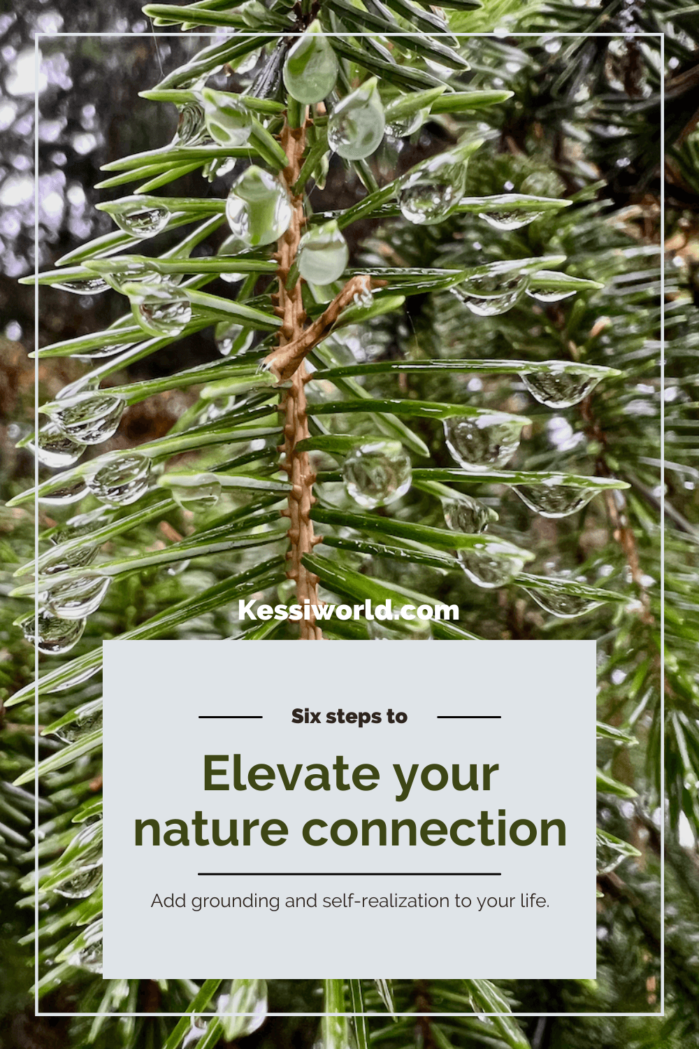 Pinterest tile outlining how to Elevate your nature connection.