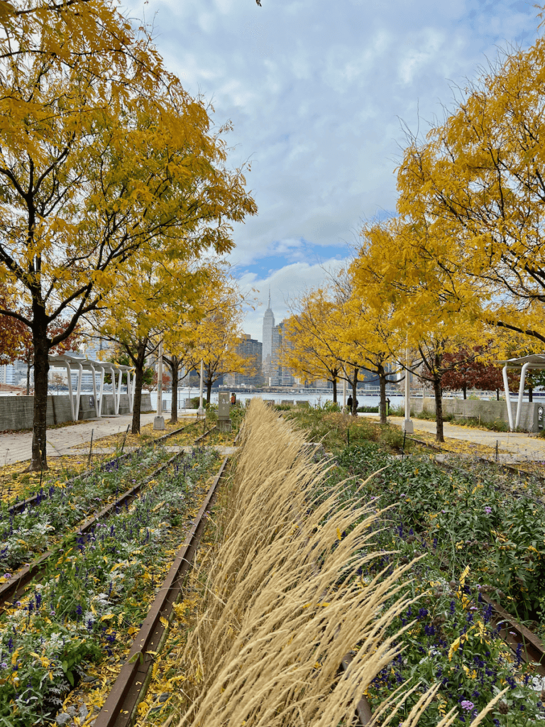 This shot of where to go for nature forward immersion while on vacation in New York City shows grasses blowing in the light wind while a line of trees are bright yellow in the fall glow. In the background the Empire State Building rises up across the East River.