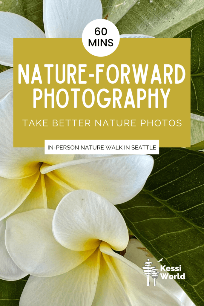 This pinterest pin talks about nature-forward photography and has a lemon yellow tile over a photo of a creamy plumeria branch with three gorgeous flowers and the interesting contrast on the waxy green leaves.