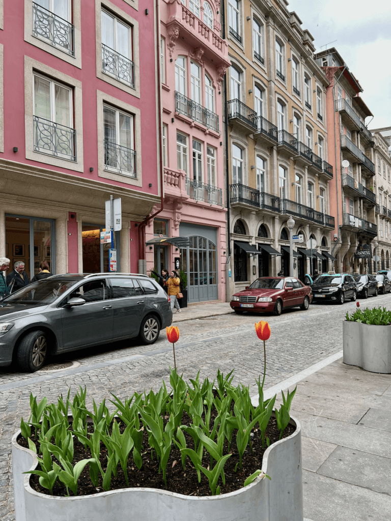 A planter in the median of a street has two tulips blooming that are yellow and red. In the background is a cobblestone street with brightly colored buildings.