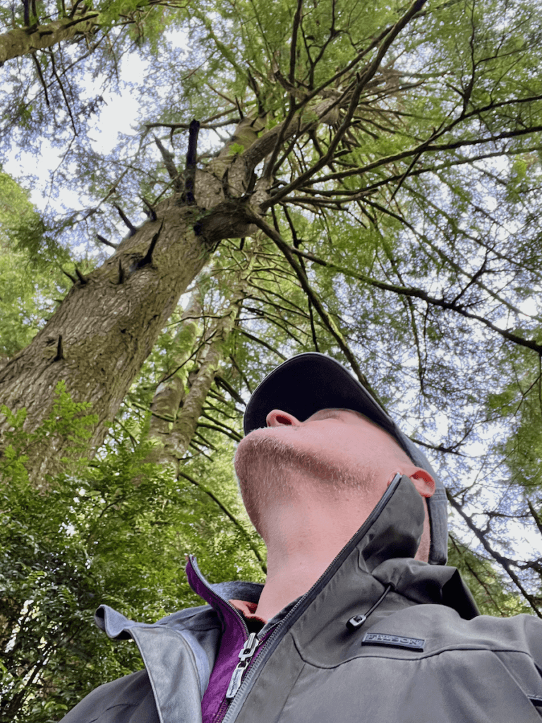 Matthew Kessi looks up into the canopy of fir trees looking around and wearing a green raincoat and gray cap.