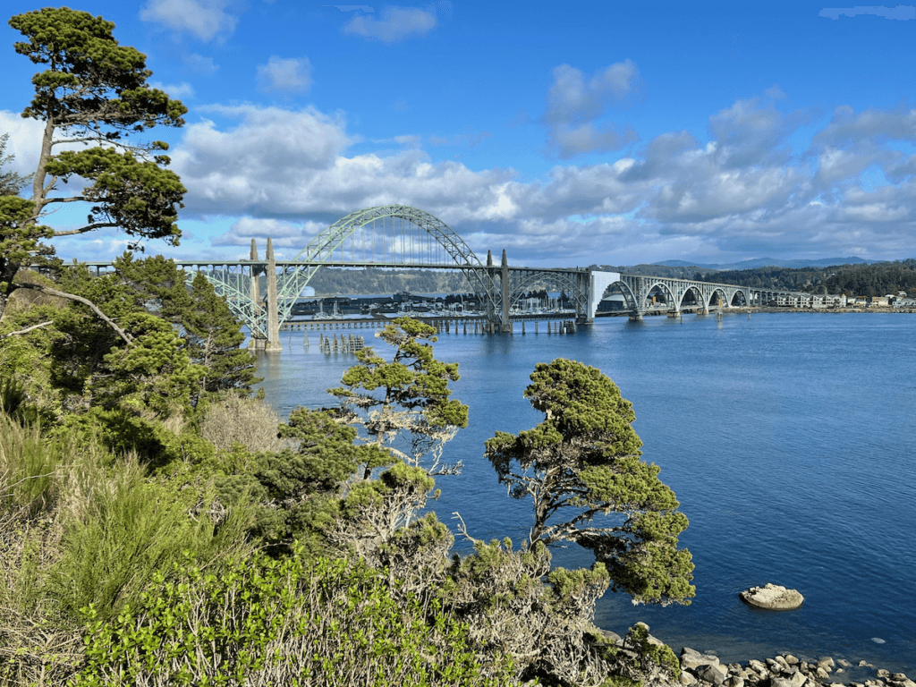 A view of the iconic Yaquina Bay Bridge in Newport Oregon. The sky is blue with puffy clouds while in the foreground there are weather coastal pine trees leaning down to the water.