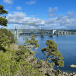 A view of the iconic Yaquina Bay Bridge in Newport Oregon. The sky is blue with puffy clouds while in the foreground there are weather coastal pine trees leaning down to the water.