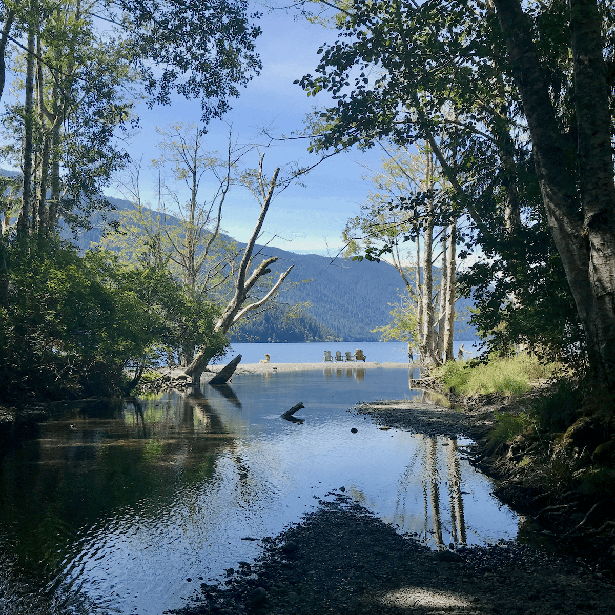 A creek runs into Lake Crescent on the Olympic Peninsula. There are four chairs positioned on the pebbly bank of the lake with deciduous trees shading the creek in the foreground.