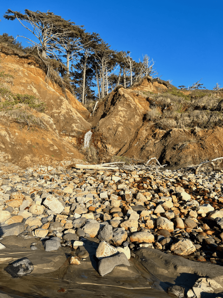 A dramatic beach scape near Newport, Oregon shows medium sized boulders with an orangish color against a cliff of soil the same color. High on top of the cliff wind blown coastal pine form interesting patterns against the blue sky.
