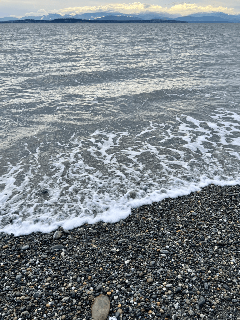 The foamy saltwater of the Salish Sea washes onto shore near Whidbey Island. The Olympic Mountains rise up in the distance among mysterious clouds.