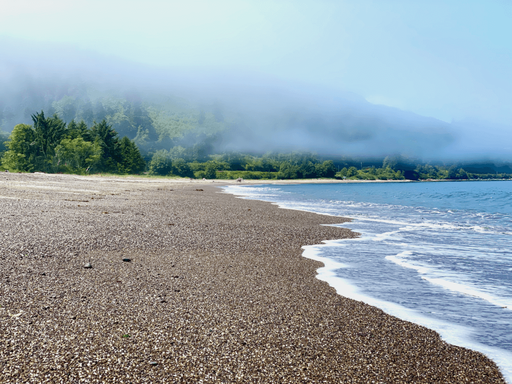 Foamy water splashes ashore on an Olympic Peninsula beach. There is mist in the background concealing mountains and various green textures of trees.