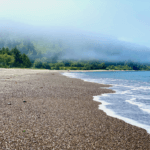 Foamy water splashes ashore on an Olympic Peninsula beach. There is mist in the background concealing mountains and various green textures of trees.