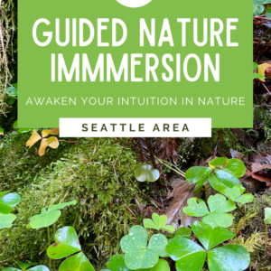 This photo promotes a guided nature immersion in the Seattle area and shows bright green clovers covered in dewdrops amongst rich green moss.