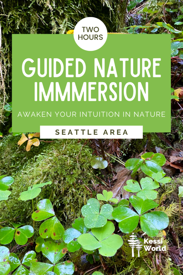 This photo promotes a guided nature immersion in the Seattle area and shows bright green clovers covered in dewdrops amongst rich green moss.