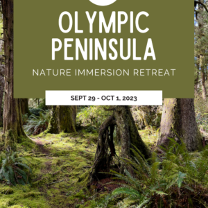 Pinterest pin promoting Kessi World nature immersion retreat on the Olympic Peninsula. In the background is a moss covered forest floor in Olympic National Park.