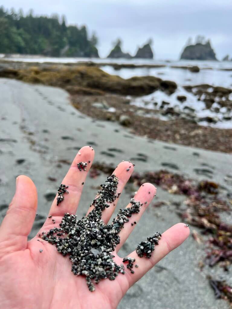 A human hand holds some of the particles of sand from ShiShiBeach. It looks cold and there are footprints out of focus in the distance along with blurred seastacks and the low tide rocks.