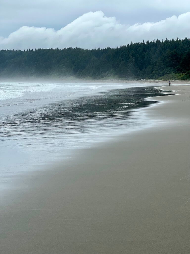 The wide open peace of ShiShi Beach on the Olympic Peninsula of Washington State. A hiker can be seen in the very distance among the mist of the saltwater. The sand is glistening from ocean water and the clouds make interesting formations above a thick treelined of firs.