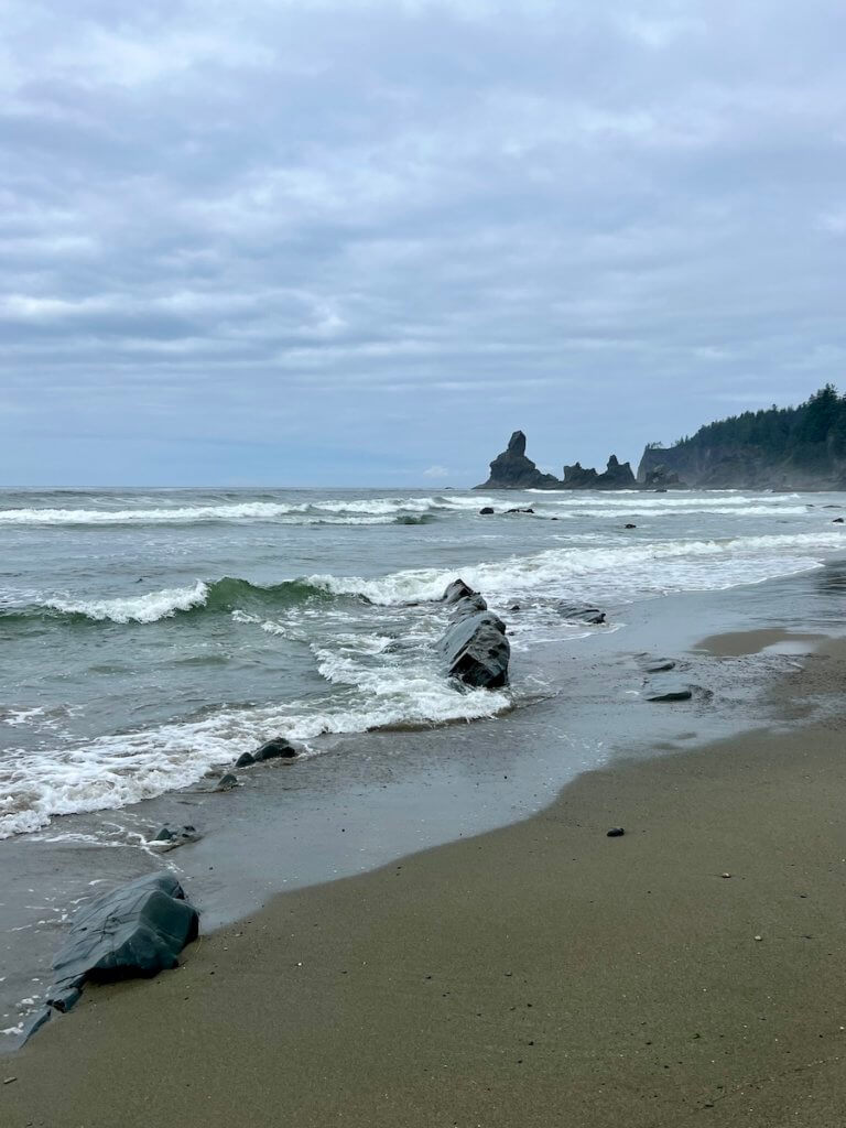 Waves of the Pacific Ocean crash upon rocks jutting up from the sand. In the distance rock stacks rise up to a thick treelike of fir trees under gray and rainy skies.