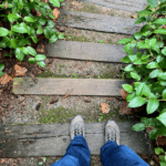 A hiker walks down steps surrounded by bright green foliage.