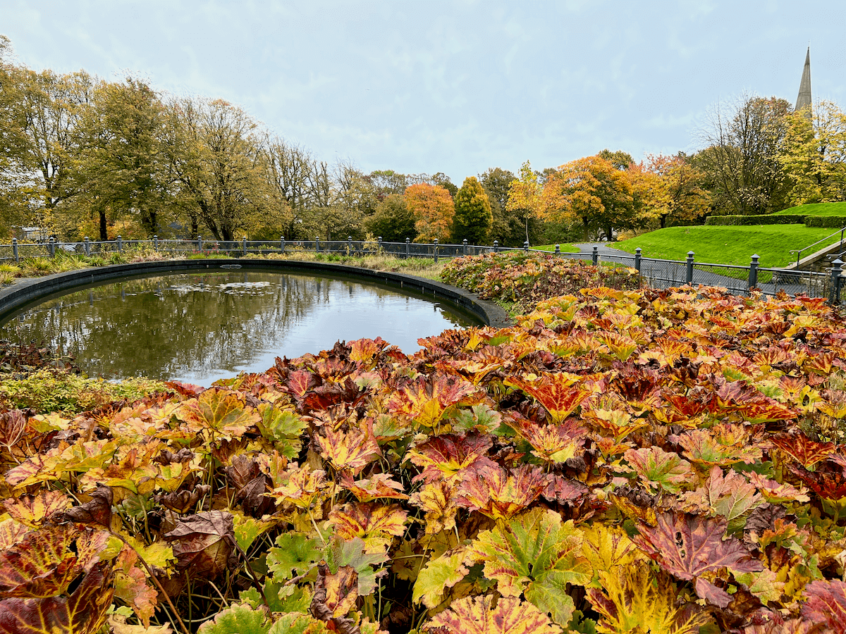 A brilliant fall day in Derry, Northern Ireland. This scene is a park with changing autumn leaves fallen on the bright green grass while. In the foreground is an oval shaped pond while the steeple of a church can be seen in the distance.