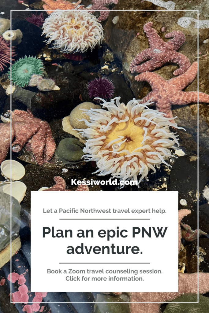 This tile shows a tide pool on the Oregon Coast with sea anemones of various colors and star fish. The text offers a pacific northwest expert to help you with travel planning by booking a zoom travel counseling session.