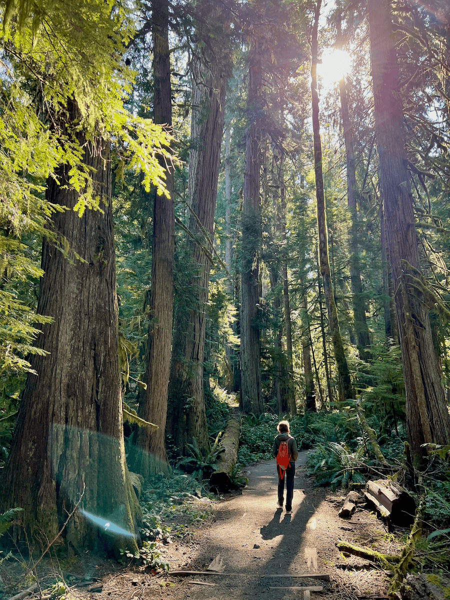 Nature meditation retreat