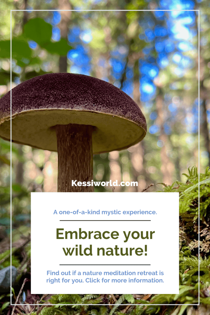 This tile shows a big cap mushroom, with a velvety purple texture popping up from a moss covered log in a Pacific Northwest forest. The text encourages the audience to embrace their wild nature by learning more about whether a nature meditation retreat is right for them. The bright blue sky is popping through in the background, making this scene feel very magical and optimistic.