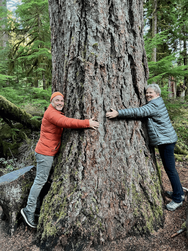 Two participants in a wellness retreat hug a giant Douglas fir with smiles on their faces. One man is wearing an orange puffy coat while the woman is wearing a gray coat. They are standing on tipped toes trying to wrap their arms around the tree.