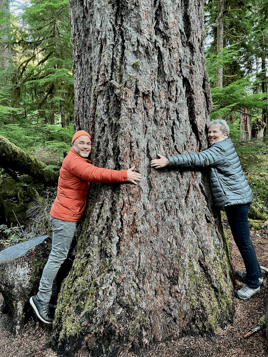 Nature meditation retreat