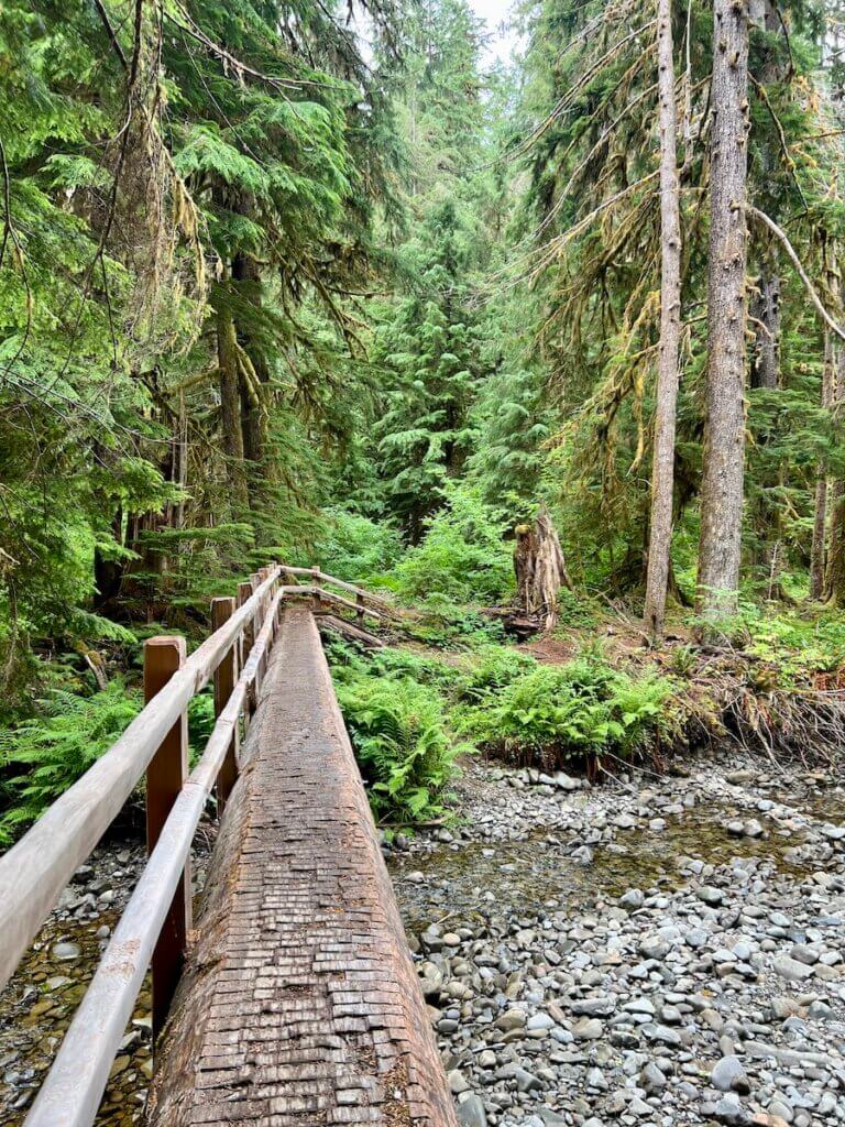 A bridge made from a fallen fir tree crosses a weakly moving creek on medium sized river rocks. There are cedar and other vegetation on the other side of this creek.