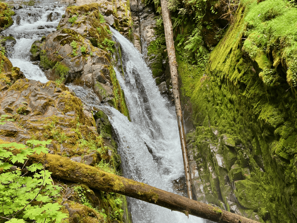 A rushing waterfall dives into a narrow cavern between jagged rock. A few trees have fallen into the path of the water and are just hanging on. Keeping present in a nature connection is key and this image helps the viewer focus on the dramatic scene.