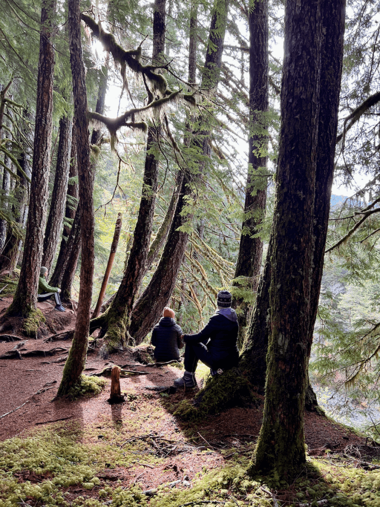 This image captures three women on a nature meditation retreat finding stillness in the forest. Sometimes fear of stillness prevents people from keeping present while finding a nature connection. The middle aged trees are surrounded by green moss and there is a view in the distance of a creek bed.