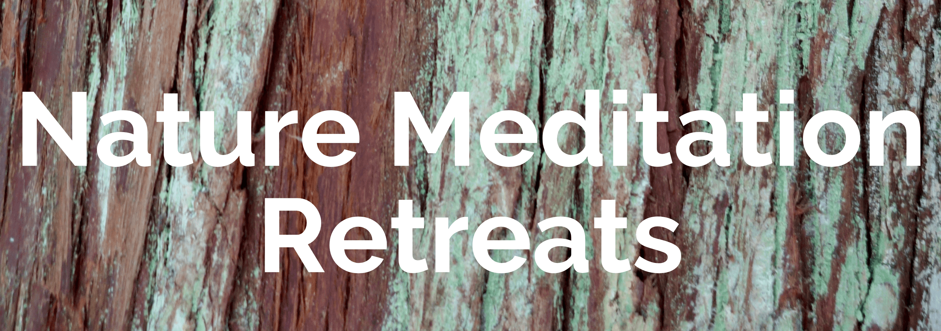 A tile for the main website page with a green and brown bark of a cedar tree and white bold letters that say Nature meditation retreats.