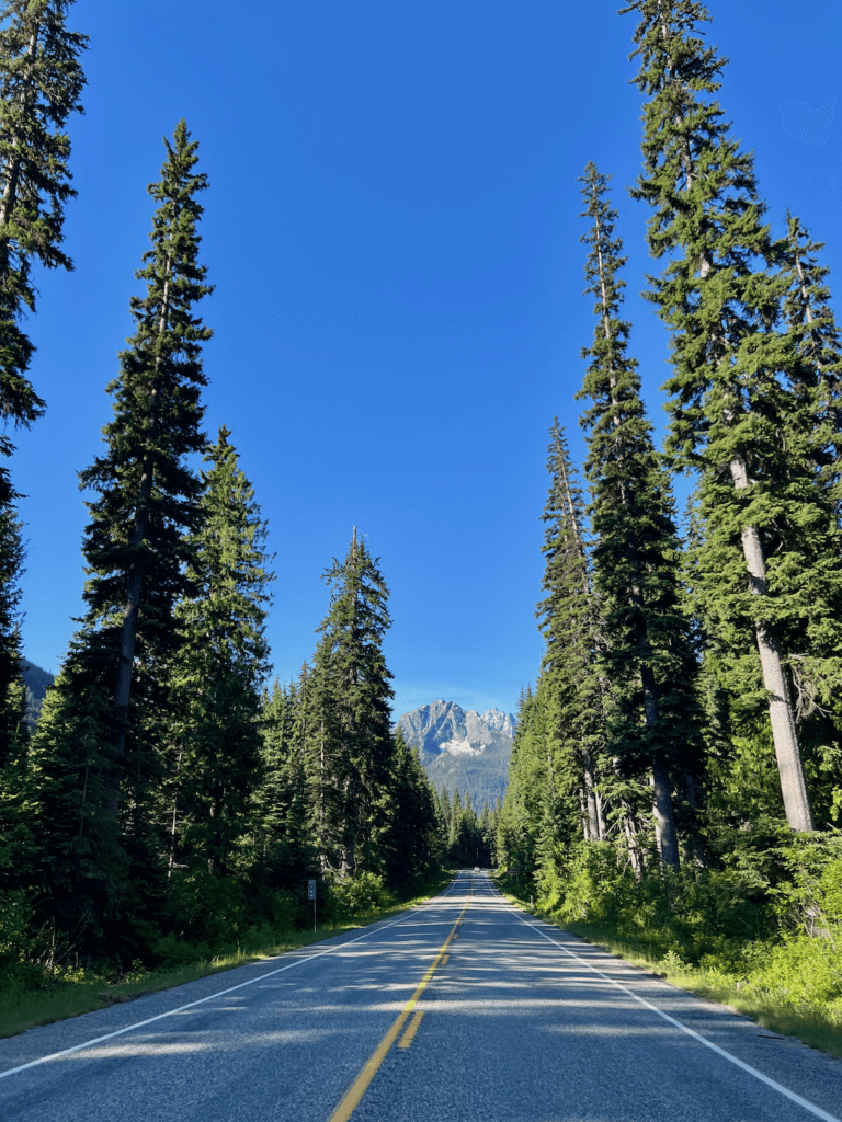 The roadway from Seattle to North Cascades National Park is stunning on this blue sky day, with mountains in the background and a two lane road framed in by tall and narrow fir trees.