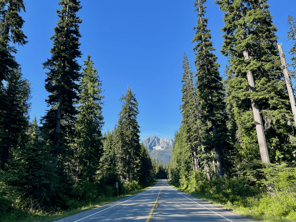 The roadway from Seattle to North Cascades National Park is stunning on this blue sky day, with mountains in the background and a two lane road framed in by tall and narrow fir trees.