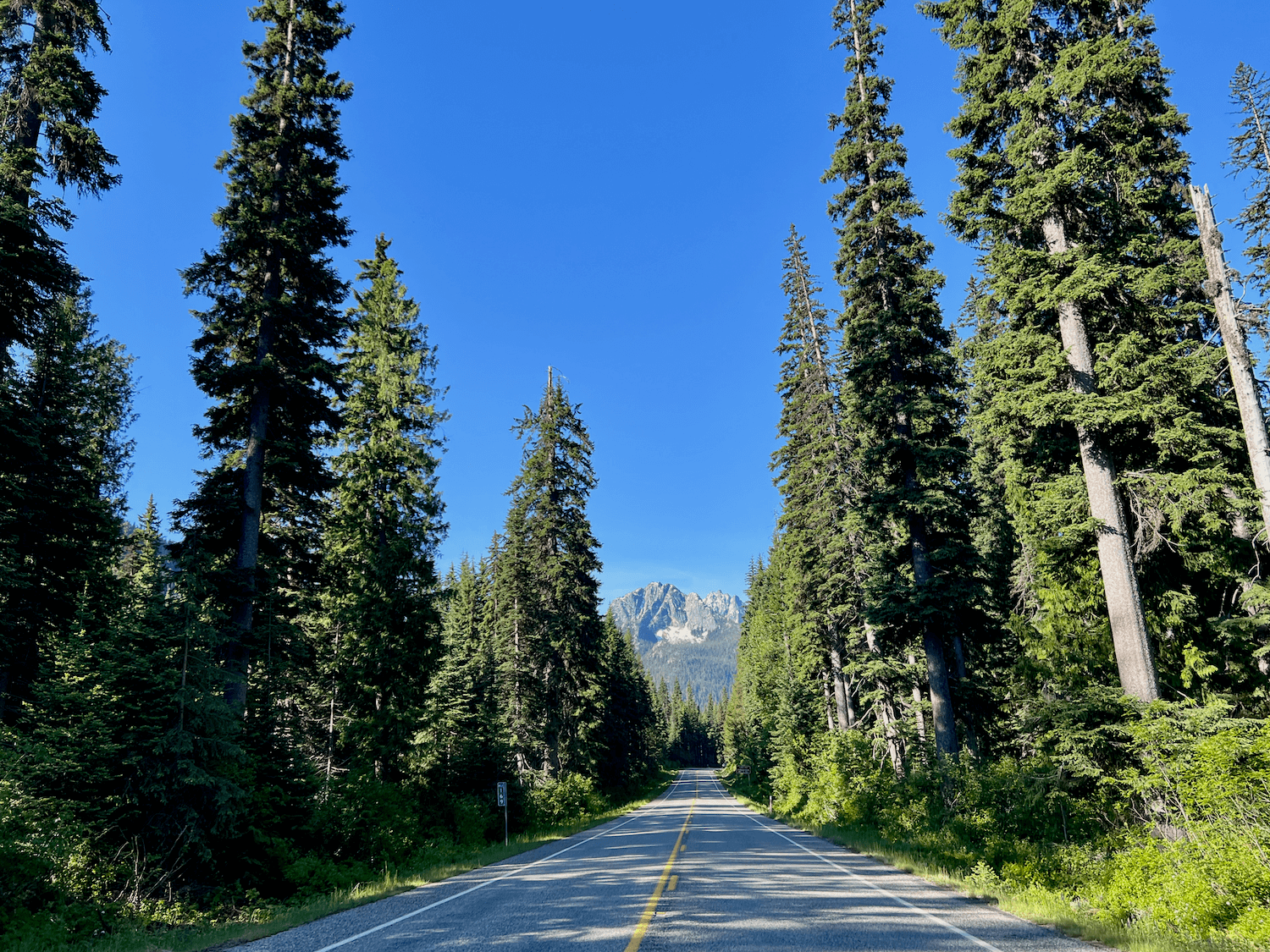 The roadway from Seattle to North Cascades National Park is stunning on this blue sky day, with mountains in the background and a two lane road framed in by tall and narrow fir trees.