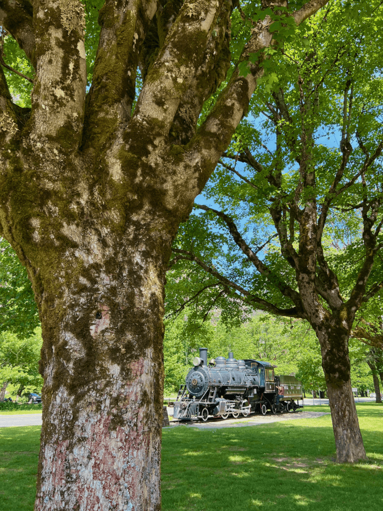 A historical locomotive sits on a track outside the visitor center to North Cascades National Park. Mature trees with green leaves create shade from the sunny blue sky day. This is one of the first stops on a drive from Seattle to this area of Washington State.