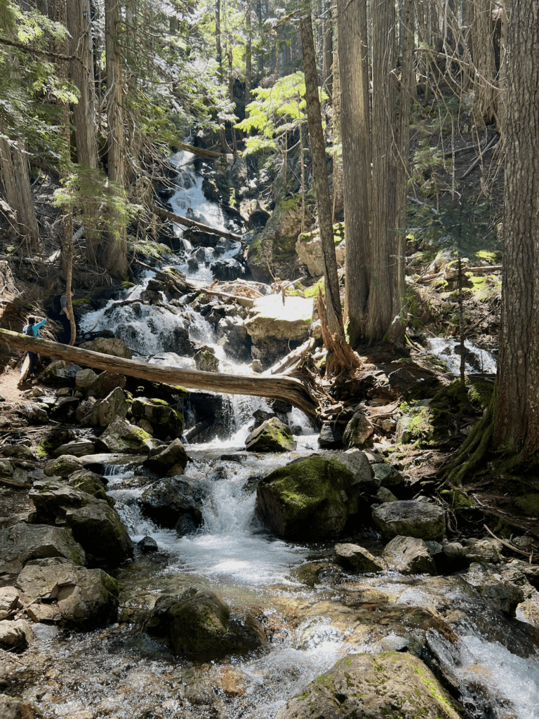 Happy Creek waterfall makes for a fun place to meditate in nature at North Cascades National Park. In the distance a woman wearing a blue shirt is taking a photo of a man standing on a log stretched across the wild and flowing forest creek under a canopy of cedar trees.