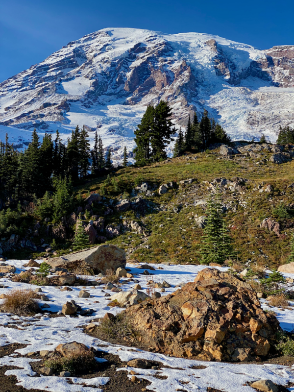 Seattle to Mt. Rainier Day Trip — A Local's Slow Guide