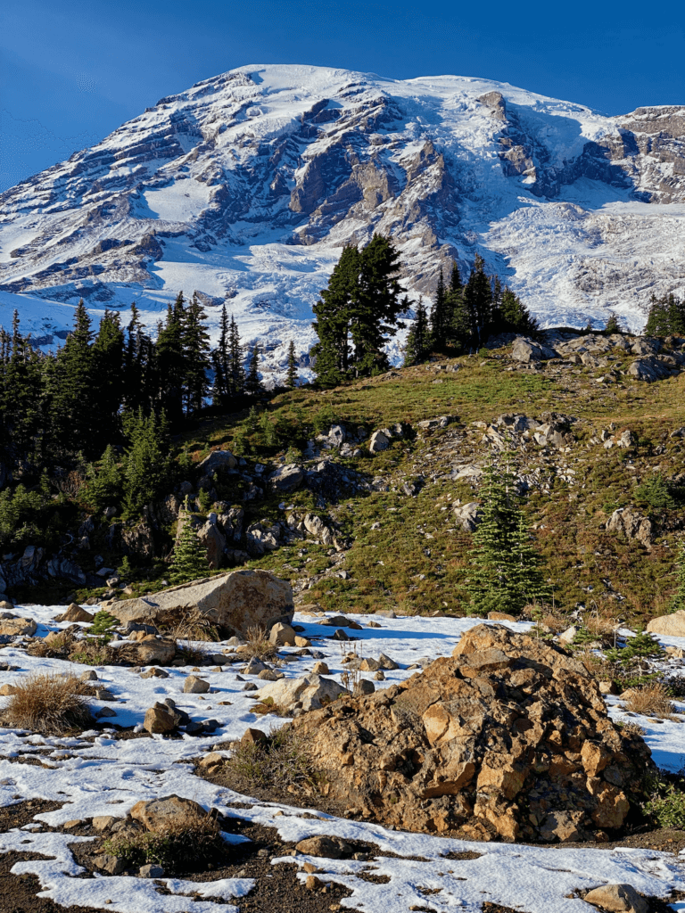 Mt Rainier in all her majesty with fresh white snow covering some of the ragged gray rocks. In the foreground are orangish rocks and small alpine green trees dodging pockets of snow.