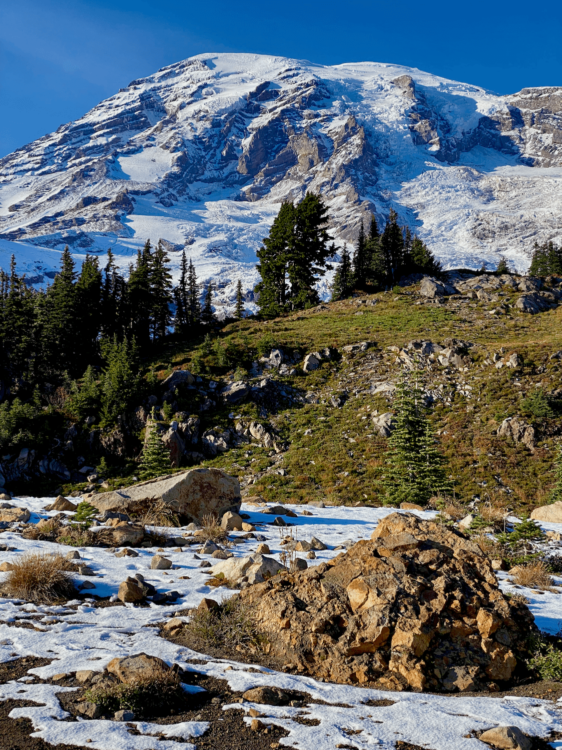 How to make a remarkable Seattle to Mt Rainier day trip -- all the best ...