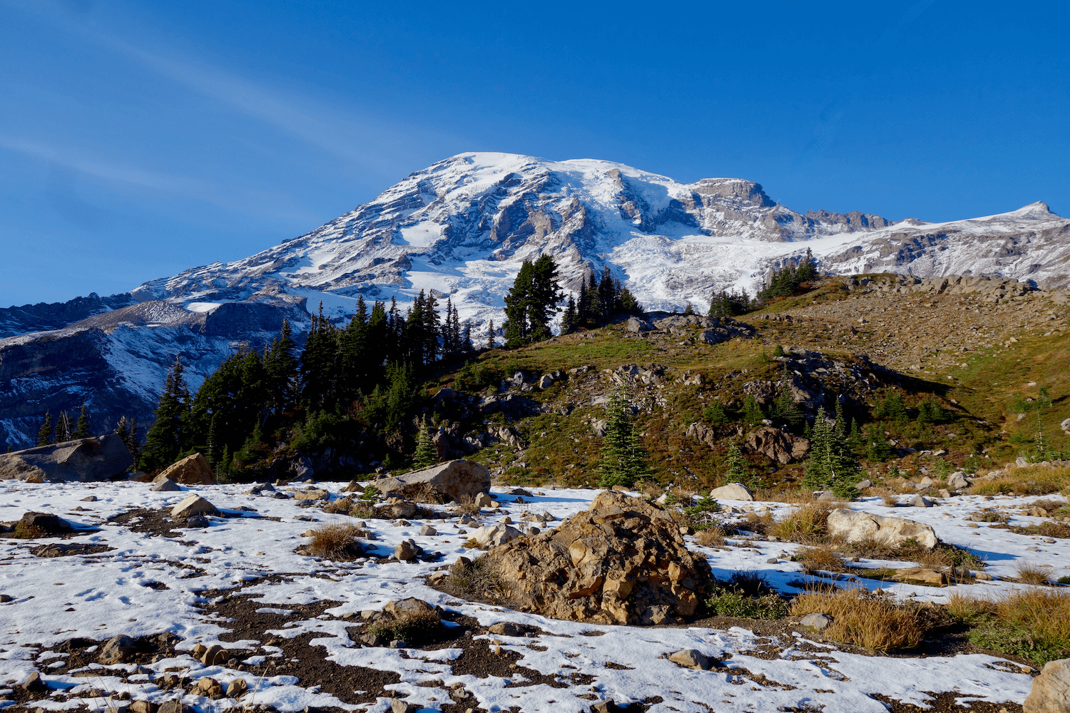 Seattle to Mt. Rainier National Park makes a remarkable day trip because the mountain is so massive in beauty. In this photo, she is covered with snow under a blue sky with patches of bare rocks and light dusting of snow in the foreground with small alpine fir trees that are dark green.