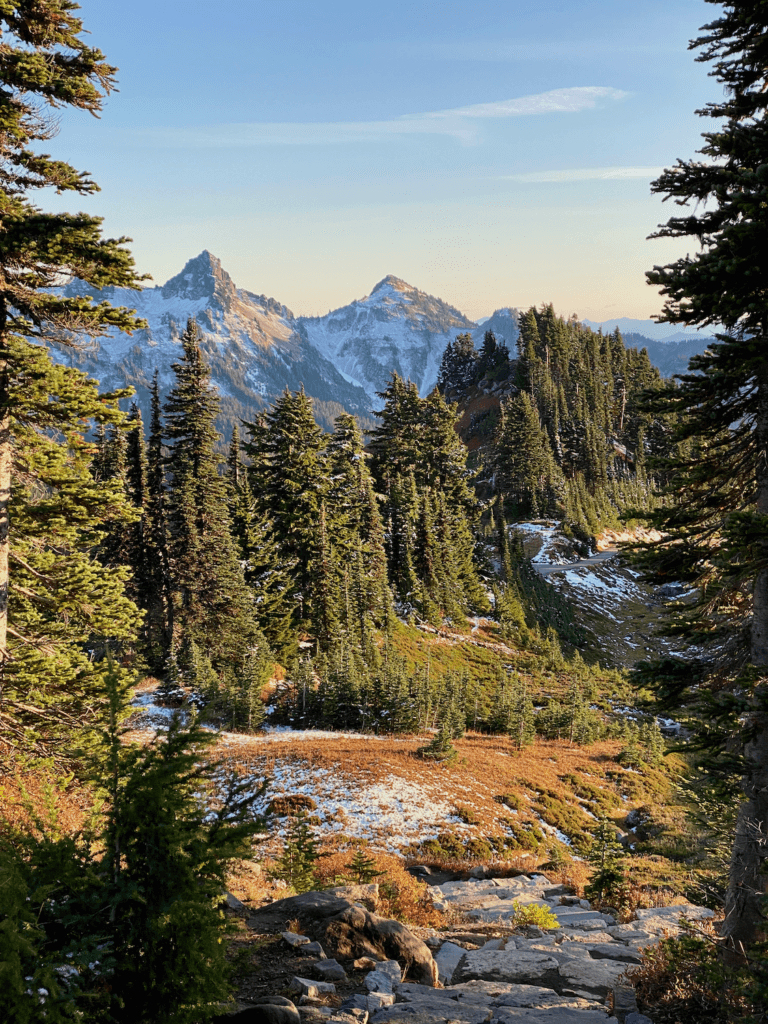 A view of the Tatoosh Range from Paradise on Mount Rainier. The glow of sunset beams across ground foliage with fall colors, dusted with a bit of snow under a blue sky.