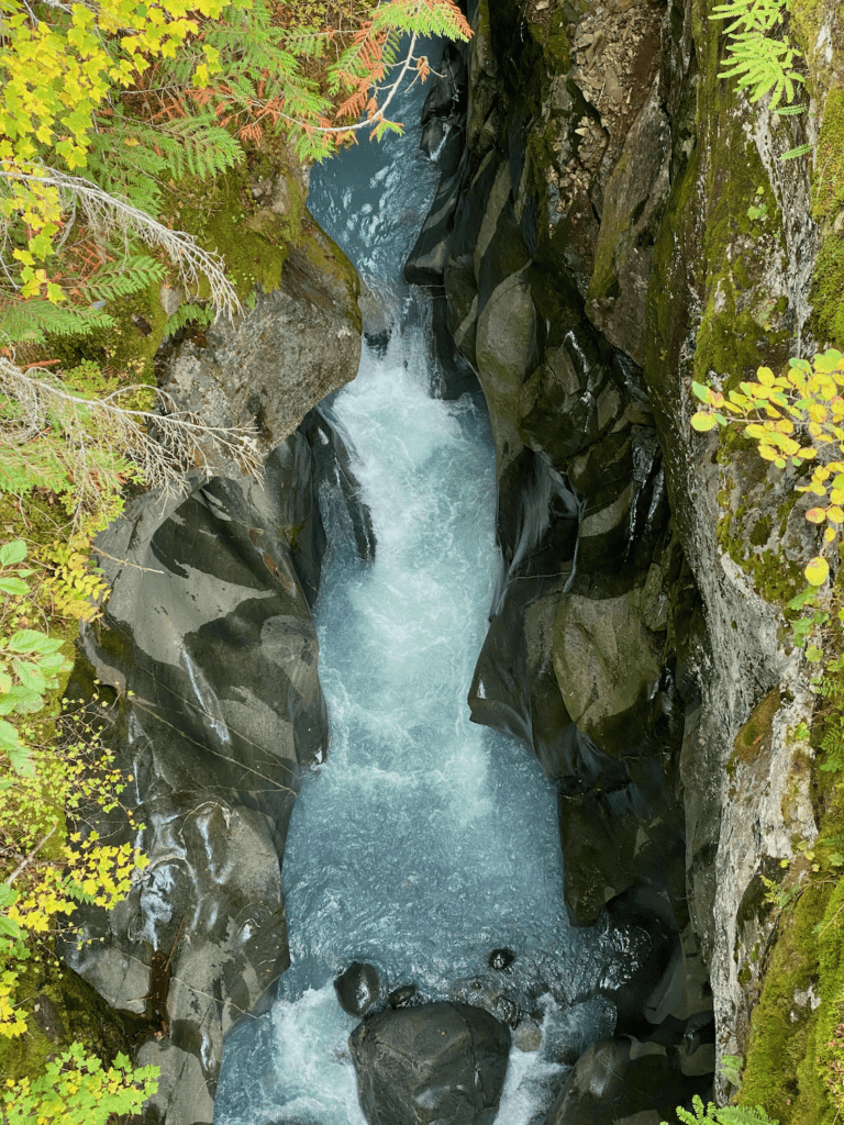 Box canyon is a fascinating place to stop on the road from Seattle to Mt. Rainier. The blue glacial water funnels furiously through a narrow rock canyon a hundred feet below. The hole to see the water is surrounded with cedar and maple foliage.