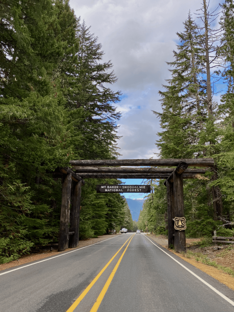 A day trip from Seattle to Mt Rainier involves passing through gates like this one that is marked by a giant wooden sign that says Mt Baker-Snoqualmie National Forest. The Road is clear with two solid yellow lines leading off into the horizon. There are thick green Douglas fir trees on either side of the road.