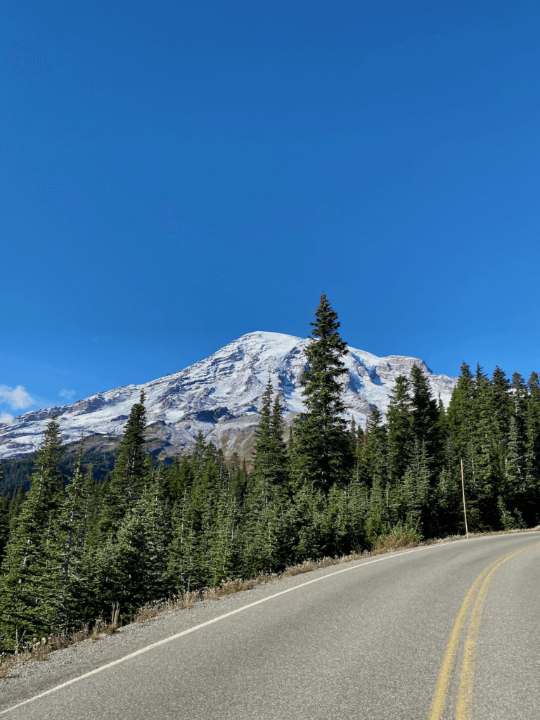 A view of Mt Rainier rising up to a bright blue sky on a day trip from Seattle. The gray road has two yellow lines leading to a curve in the road, which is framed by many small evergreen fir trees.