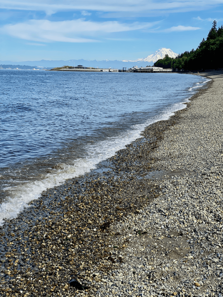 Waters from the Salish Sea wash onto a pebbly beach while Mt. Rainier rises up in the background under a blue sky. 