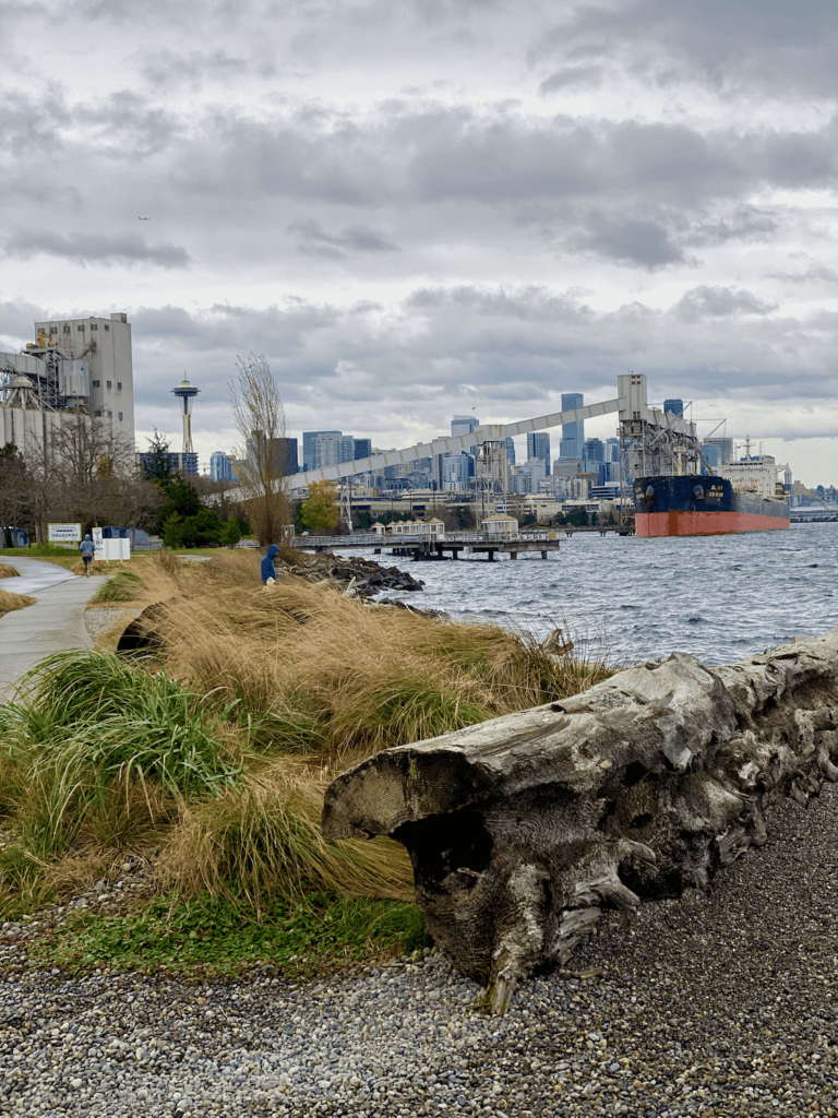 The trail at Elliott Bay on a fall day in Seattle. Layers of clouds frolic above the churning waters of the Salish Sea. The Space Needle, and skyline of Seattle rises in the distance, and an ocean going ship is at the dock loading grain. In the forefront are logs and blowing grasses next to a paved pedestrian path.