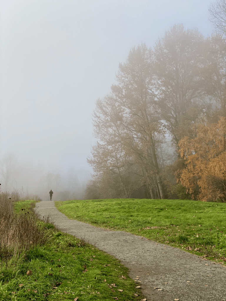 A misty fall day in Seattle at Union Bay, near University of Washington. A runner is on a gray gravel path in the distance, surrounded by partly obscured deciduous trees with orange and yellow leaves.