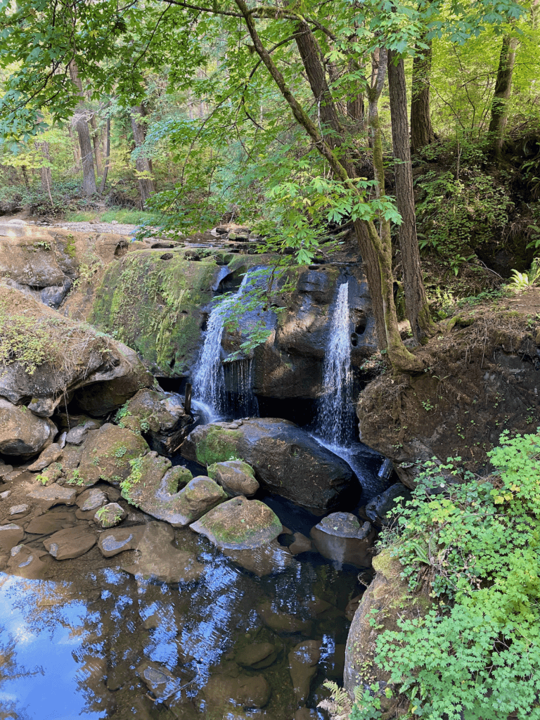 The beautiful light flow of water in Fall at Whatcom Falls in Bellingham, Washington. In the pool of water below the falls you can see the reflection of the bright blue sky above. There are small green bushes and trees surrounding the river.