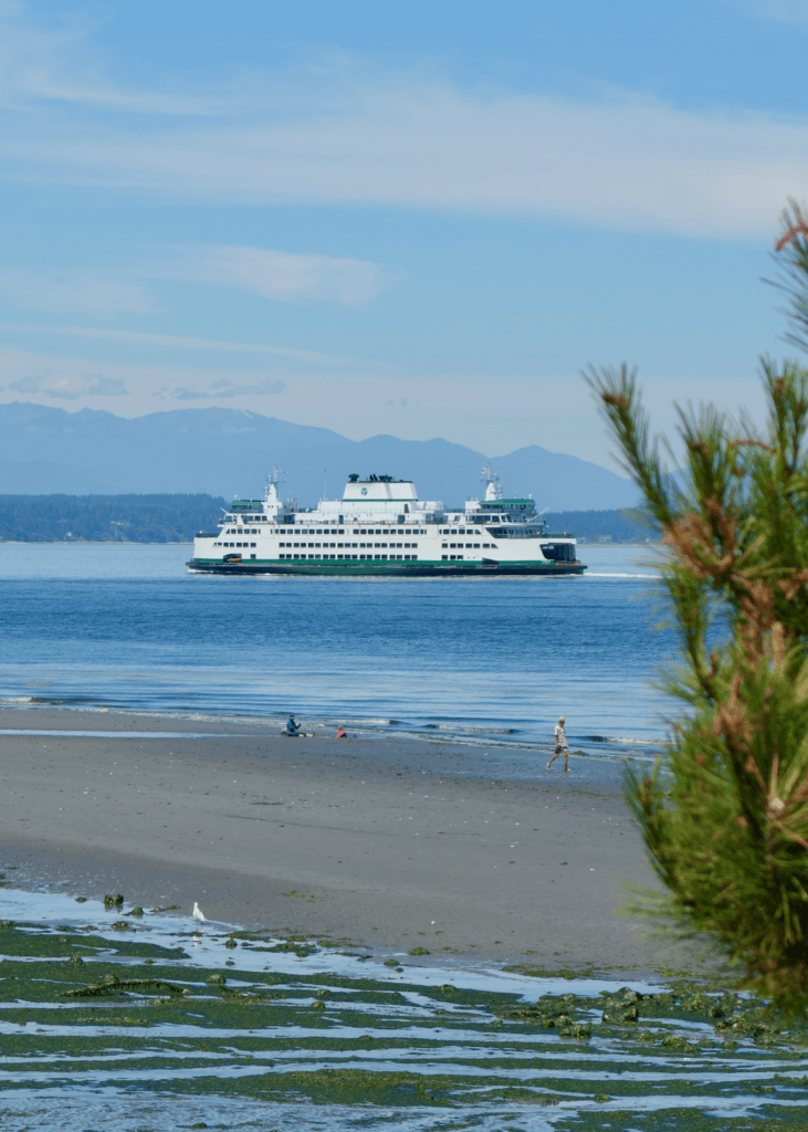 A green and white Washington State Ferry as viewed from Alki Beach in West Seattle. The sky is blue and the Olympic Mountains are seen in the background. People walk on the beach in the foreground around dark green kelp and seagulls.