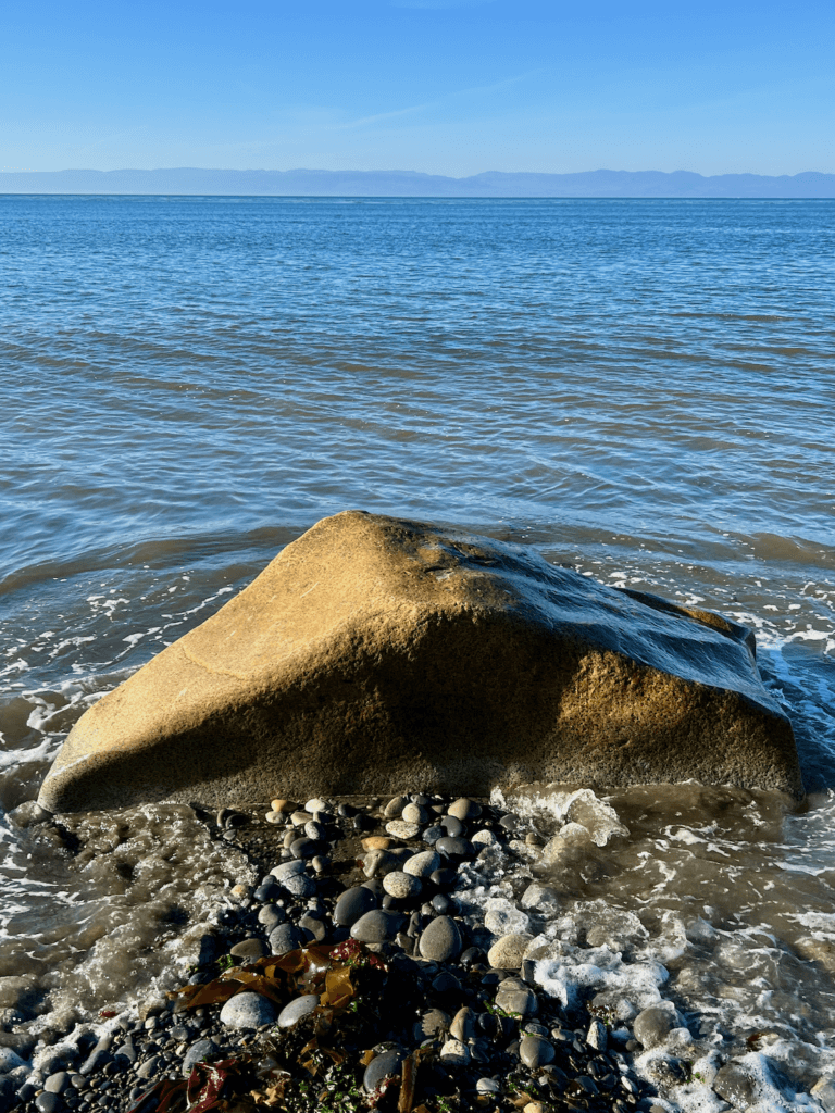 A large granite rock breaks the waves of the Salish Sea. The gray water foams as it brushes onto the large pebbles on the beach.