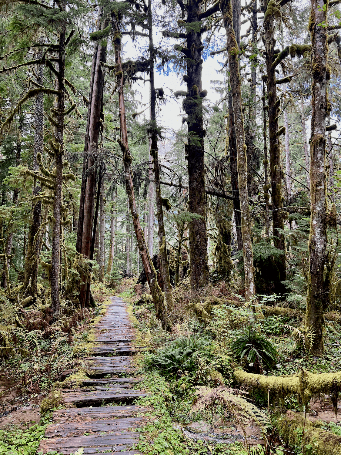How to make a remarkable Seattle to Mt Rainier day trip -- all the best ...